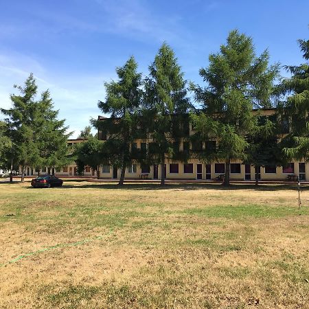 奥罗德克多米诺山林小屋 德兹维济诺 外观 照片