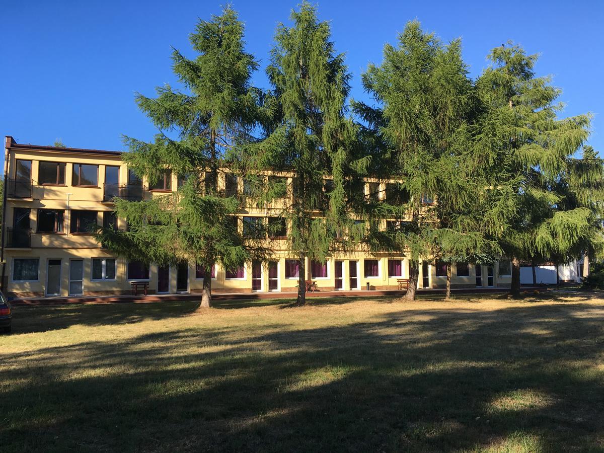 奥罗德克多米诺山林小屋 德兹维济诺 外观 照片